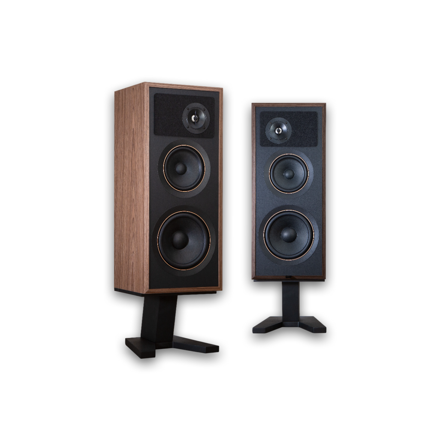 Passif 50 Tower (Anniversary Edition)
