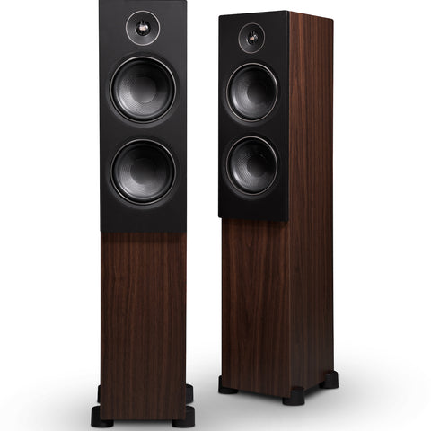 Psb 2025 alpha t20